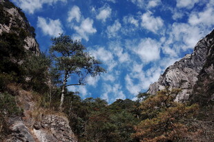 山间树景 蓝天白云相衬