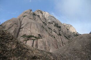 巍峨山石间的孤松
