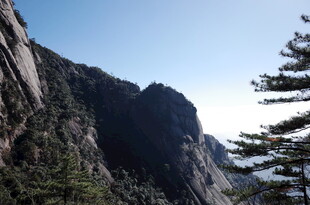 巍峨山峰与挺拔松树