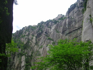 巍峨山壁旁的葱郁绿植