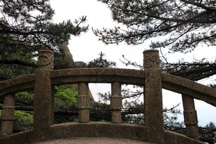 古朴木桥隐于林间