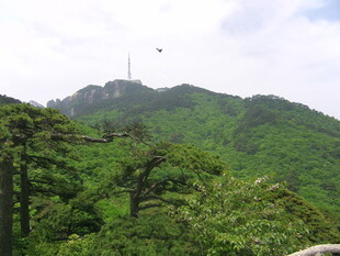 青山绿树间的秀丽山峰