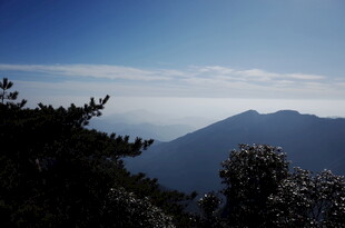 山巅远景 云雾缭绕山林间
