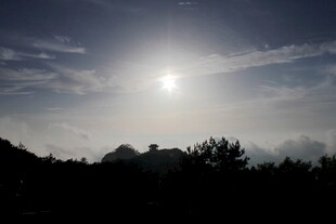 日落时分的天际与树木