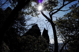 阳光穿透树林下的岩石景观