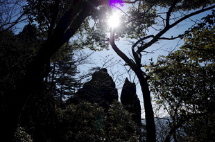 阳光穿透山林间奇特岩石