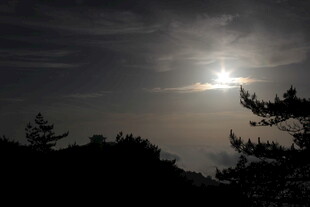 日出时分山林剪影