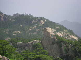 巍峨青山绿意浓