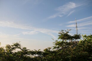 蓝天绿树间的通信塔