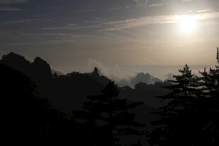 日出山林间壮丽景致