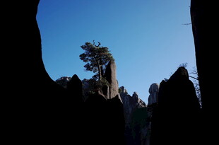 孤树挺立在奇特岩石间