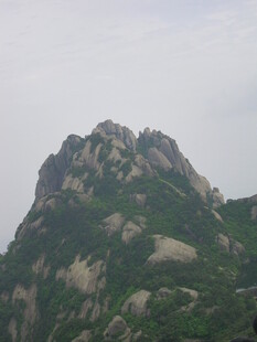 巍峨山峰绿意盎然