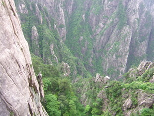 壮丽山景 峡谷绿意盎然