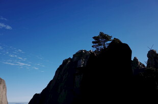 山巅孤树映蓝天