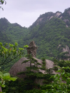 山间奇石隐于葱郁植被间