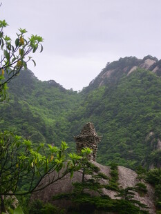 山间孤亭隐于葱郁山林