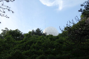 林间露出的白色圆顶设施