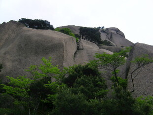 巍峨山石旁的葱郁绿植