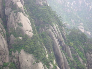 壮丽山景 峭壁绿植相依