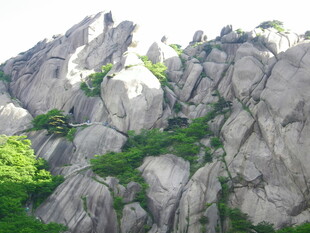 峻峭山石间的绿意点缀