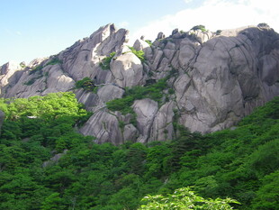 巍峨山峦覆绿植美景