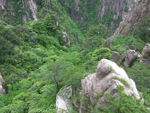 山间绿意盎然的秀丽景致