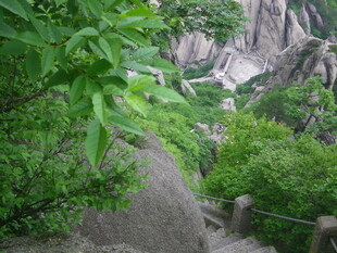 山间绿意盎然的石阶小径