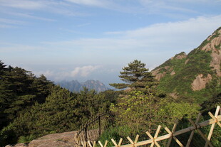 山间美景 绿意盎然的景致