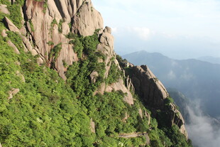 峻峭山峰绿意盎然