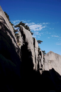 险峻山峰上的孤松