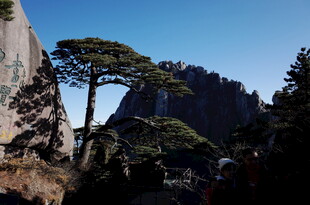 黄山奇峰与苍松景观