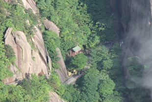 山间绿意中的隐秘景致