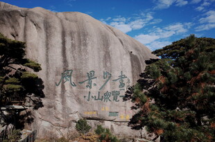 巍峨巨石旁的葱郁树木