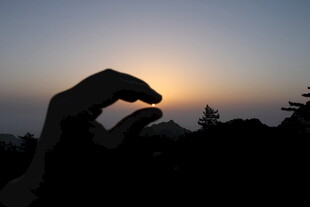 夕阳下的手影剪影