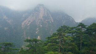 云雾缭绕中的青山绿树