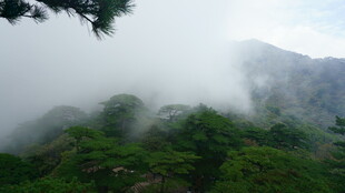 云雾缭绕的翠绿山峦