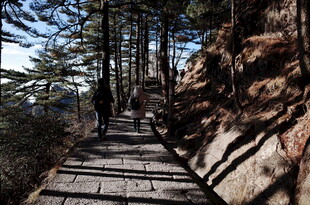 山间木栈道 漫步自然间