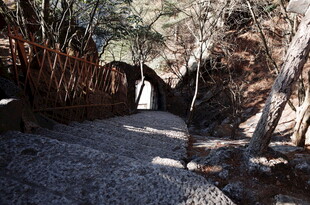 林间小道上的白色身影