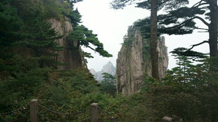 奇峰耸立的山林景观