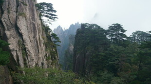 壮丽黄山奇峰与苍松