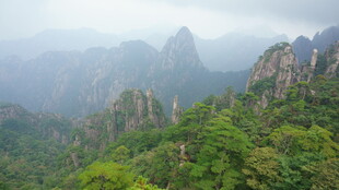 壮美山峦绿意环绕景观