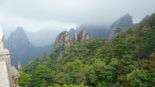 云雾缭绕的翠绿山峦