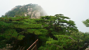 山林间的葱郁山峰
