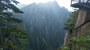 悬崖栈道旁的山林美景