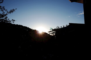 夕阳下的建筑与树木景观