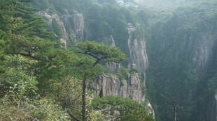 壮丽山景 云雾缭绕的奇峰