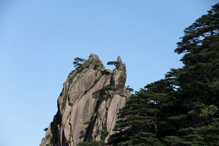 黄山奇峰与葱郁林木