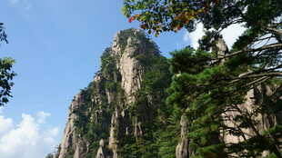 巍峨山峰与葱郁树木景观