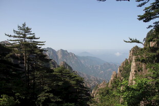 黄山秀丽山林景观