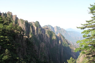 壮丽山峰与葱郁树木景观